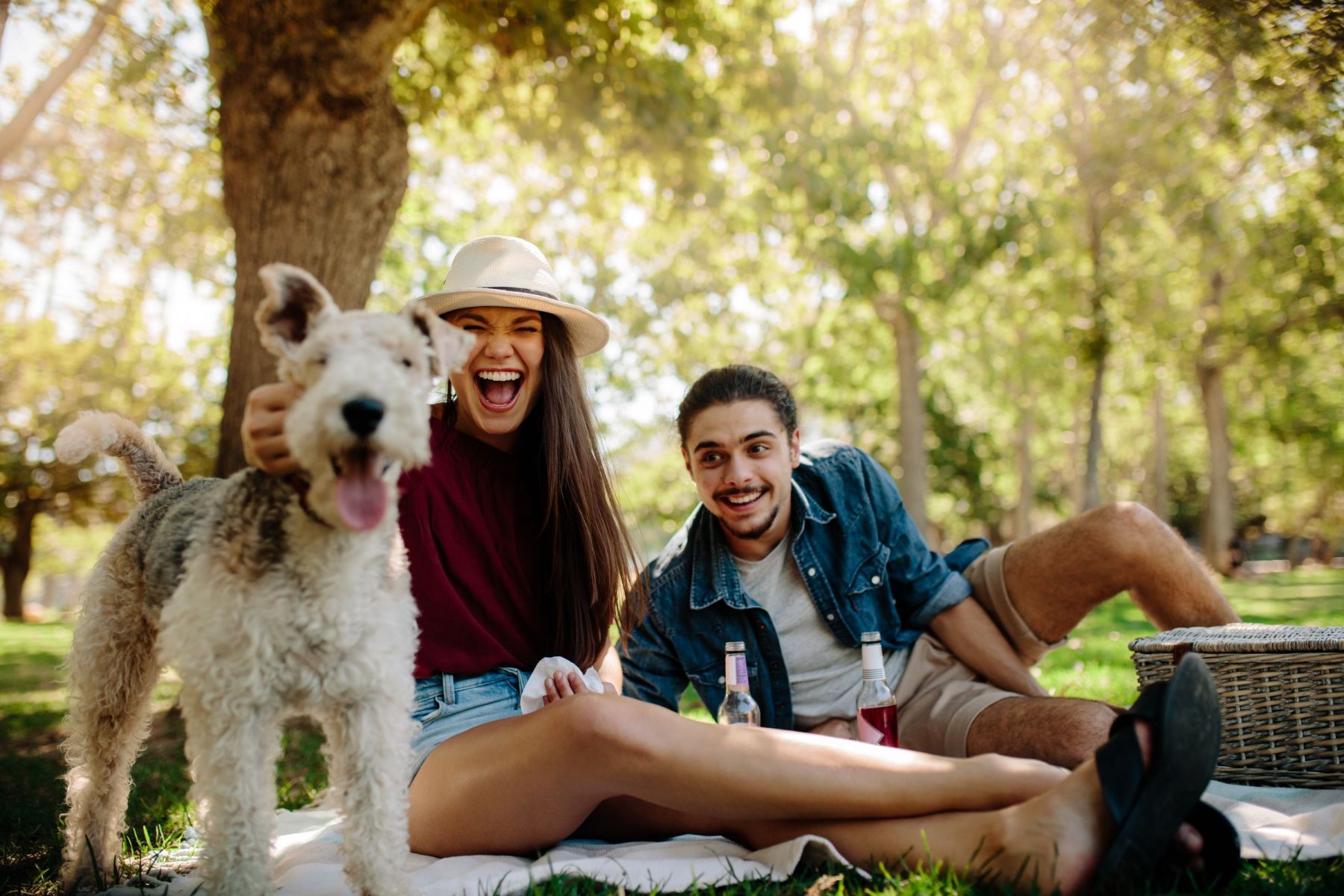 A couple sits on a picnic blanket with their dog in a sunny Asheville park, smiling and enjoying the day.