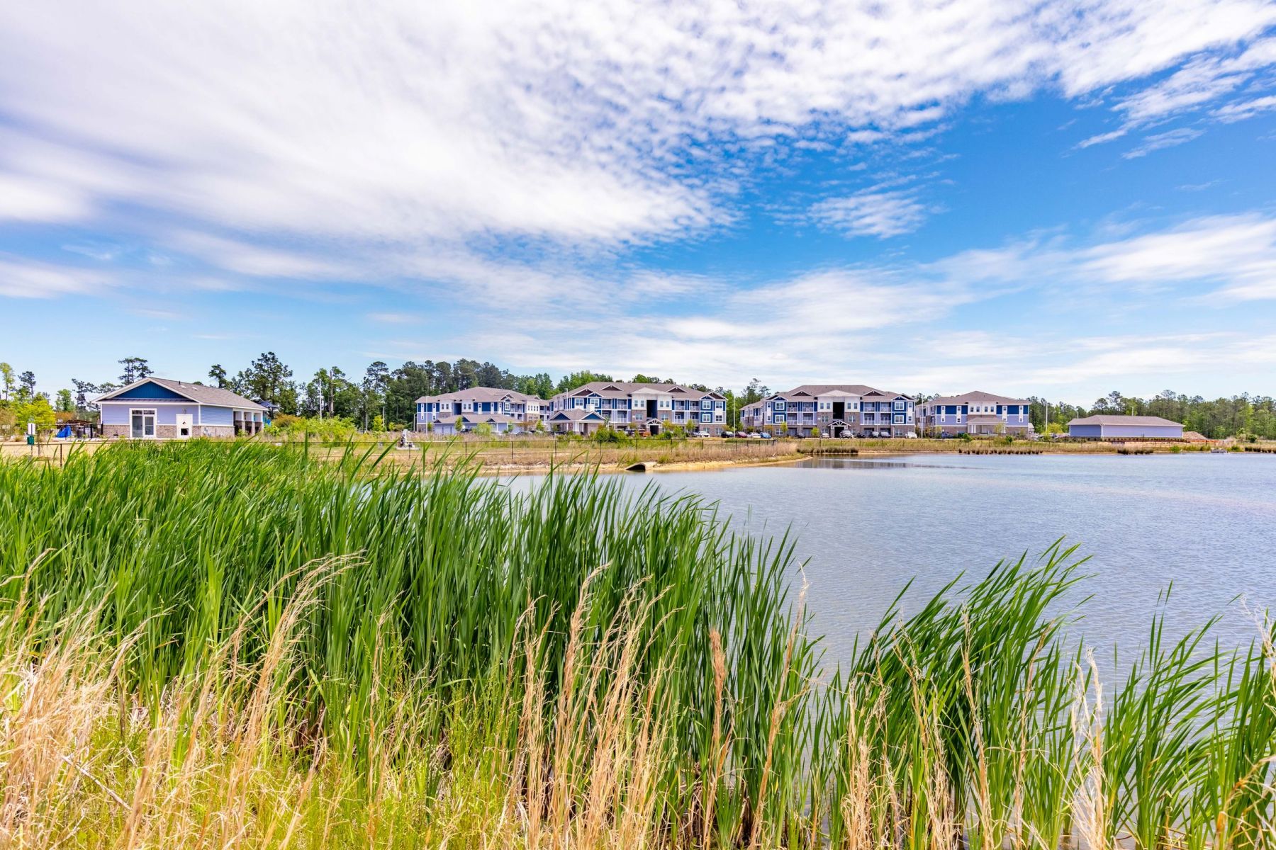 Hawthorne Waterside apartments neighborhood photo of nearby lake with native grasses and marshland